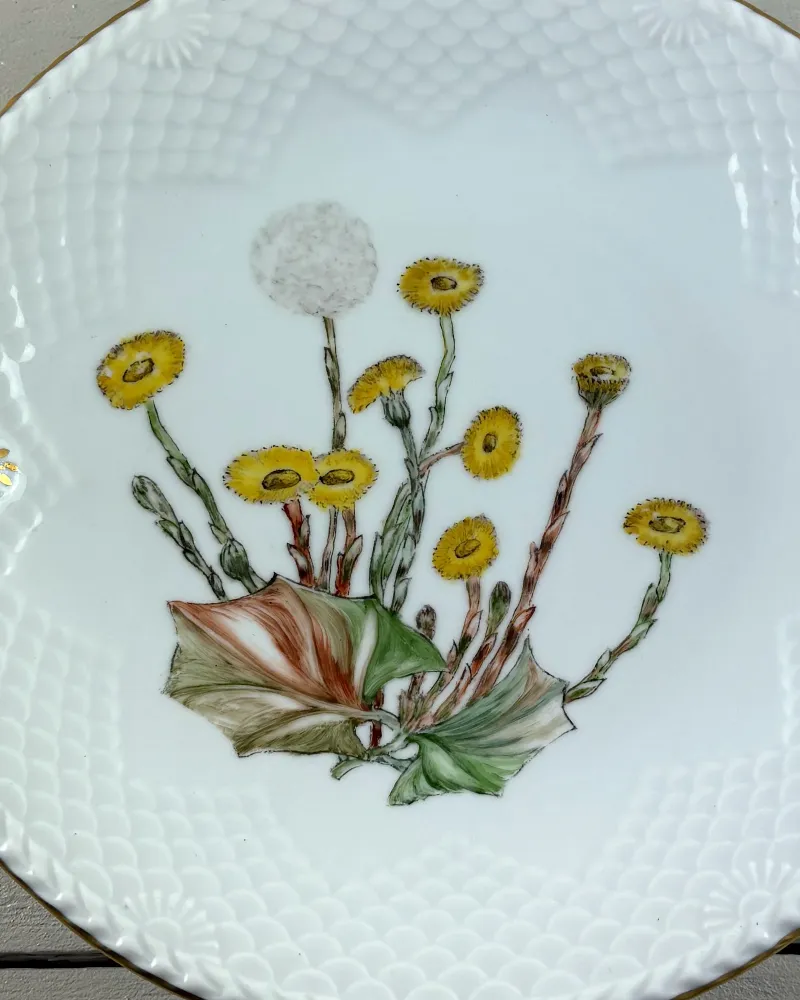 Close-up of hand-painted coltsfoot flowers, leaves and seed head on a Bing & Grondahl porcelain cake plate