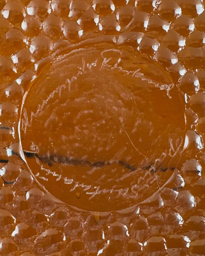 Santalahti signature and 1979 date moulded into the amber base of the Humppila Kasvimaalla glass bowl